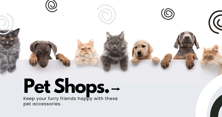 Pet Accessories